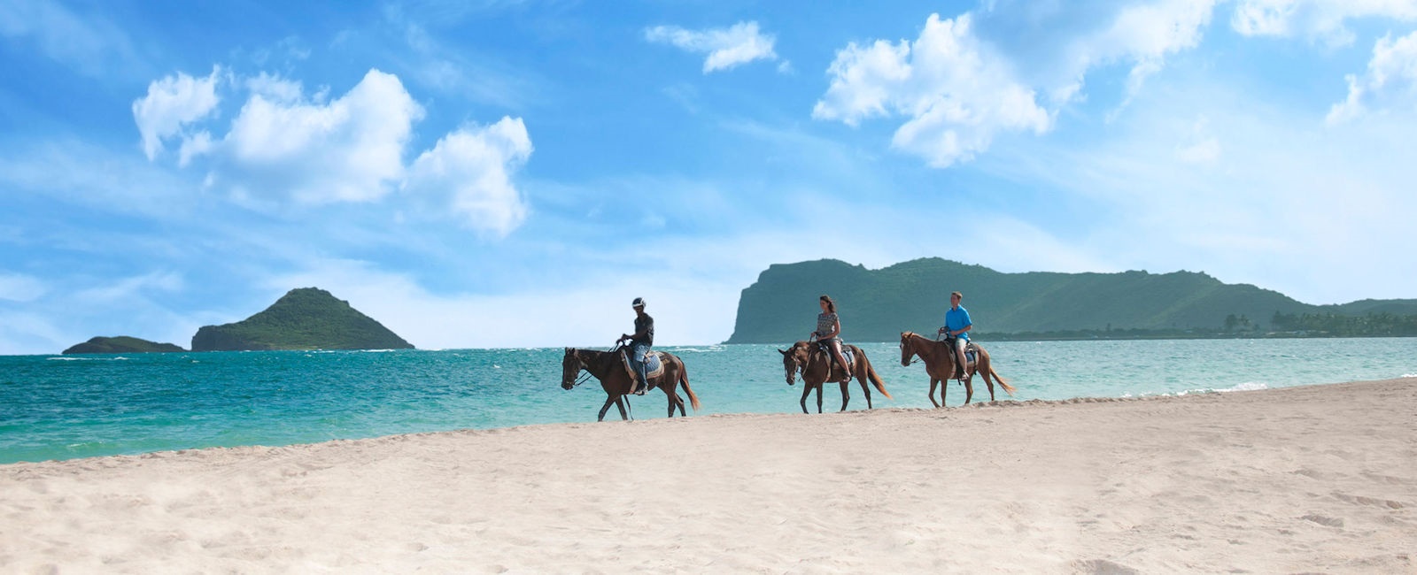 Luxury Vieux Fort Holidays